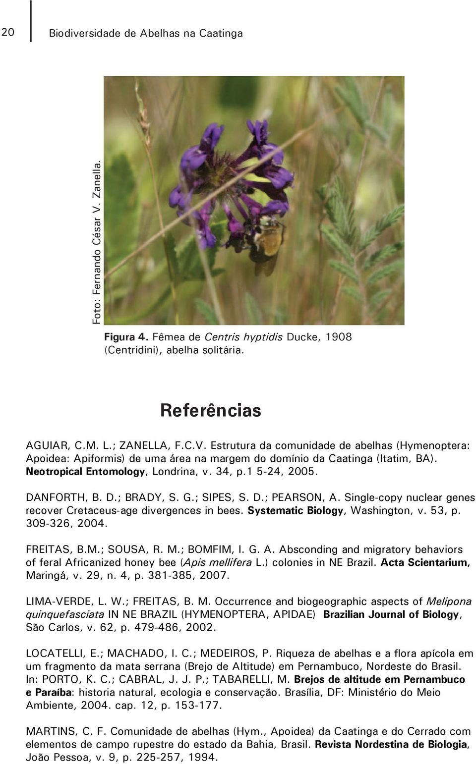 Systematic Biology, Washington, v. 53, p. 309-326, 2004. FREITAS, B.M.; SOUSA, R. M.; BOMFIM, I. G. A. Absconding and migratory behaviors of feral Africanized honey bee (Apis mellifera L.