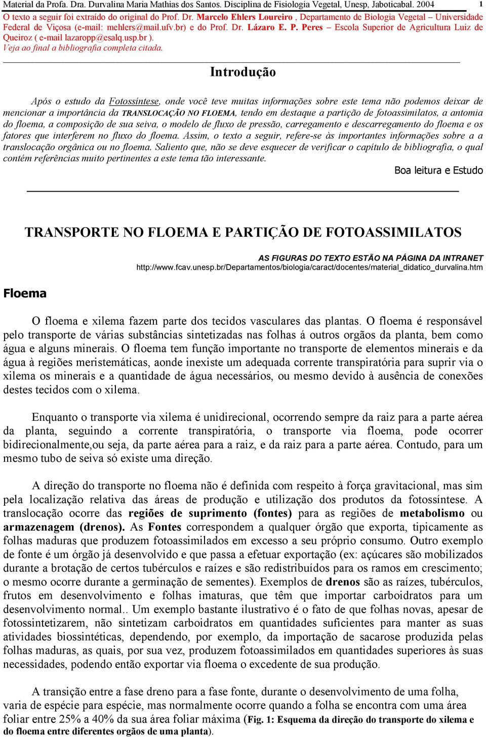 Assim, o texto a seguir, refere-se às importantes informações sobre a a translocação orgânica ou no floema.