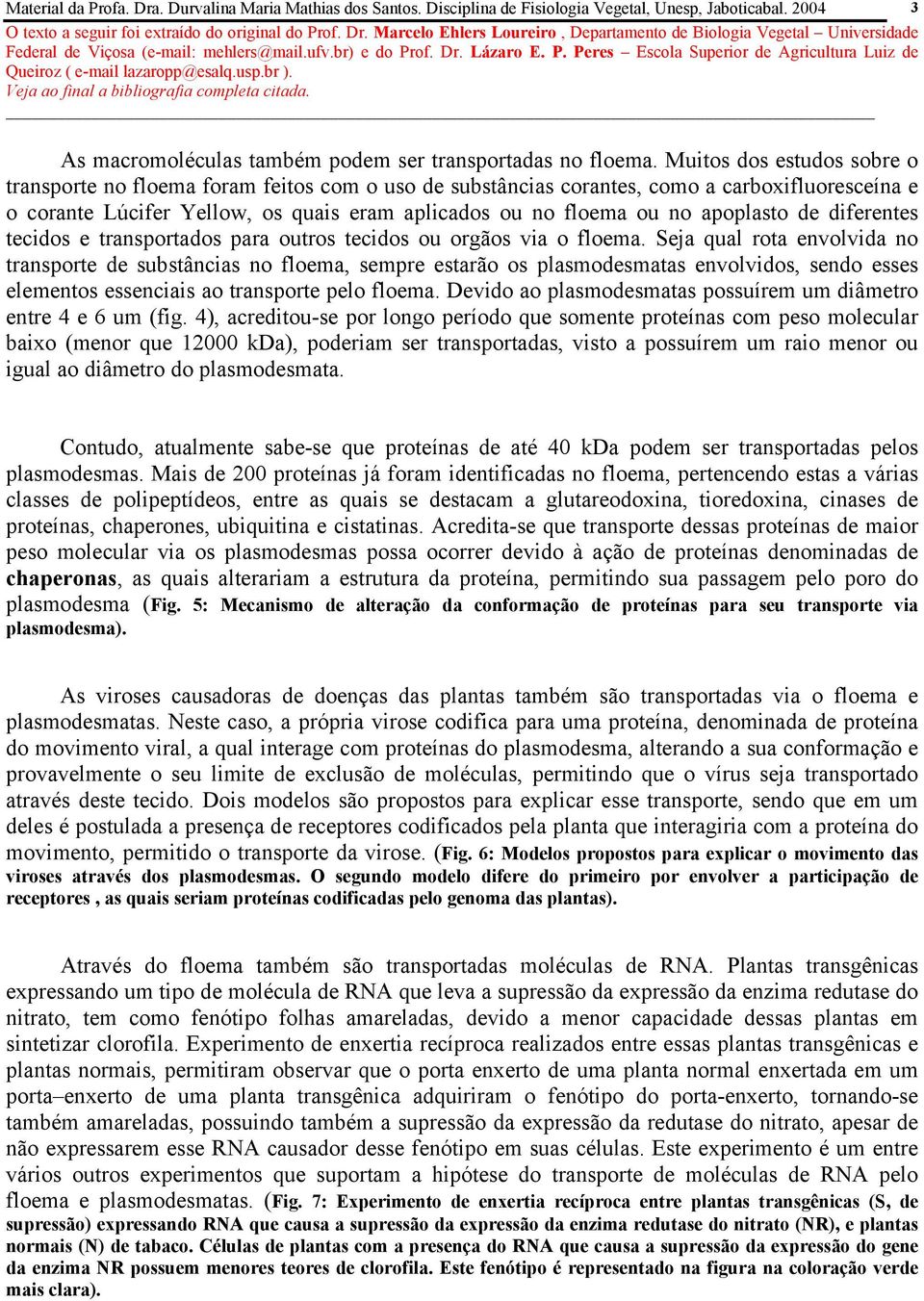 apoplasto de diferentes tecidos e transportados para outros tecidos ou orgãos via o floema.