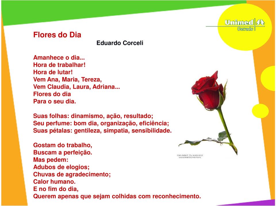 Suas folhas: dinamismo, ação, resultado; Seu perfume: bom dia, organização, eficiência; Suas pétalas: gentileza,