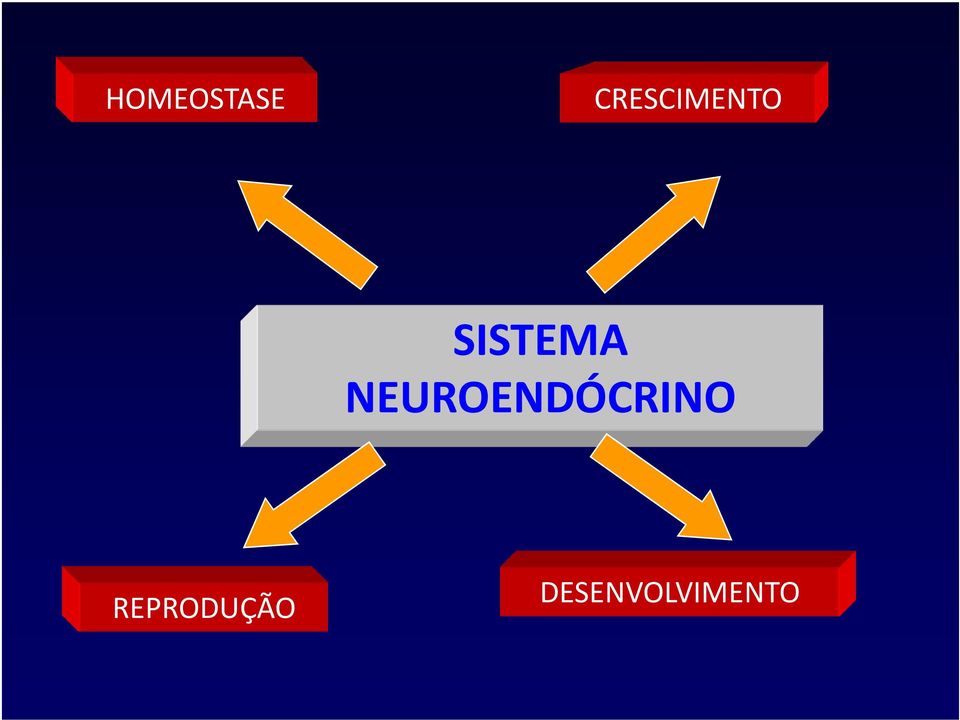 SISTEMA