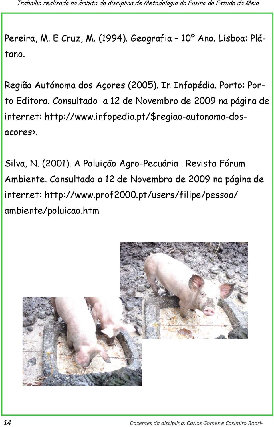 Consultado a 12 de Novembro de 2009 na página de internet: http://www.infopedia.pt/$regiao-autonoma-dosacores>. Silva, N. (2001).