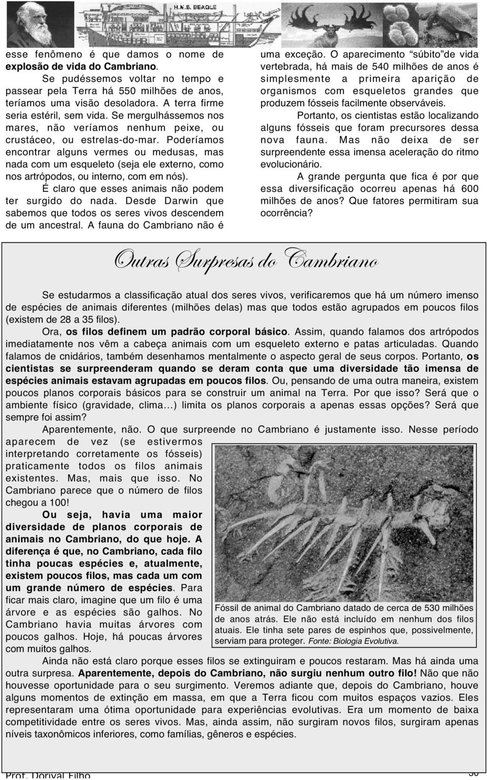 Poderíamos encontrar alguns vermes ou medusas, mas nada com um esqueleto (seja ele externo, como nos artrópodos, ou interno, com em nós). É claro que esses animais não podem ter surgido do nada.