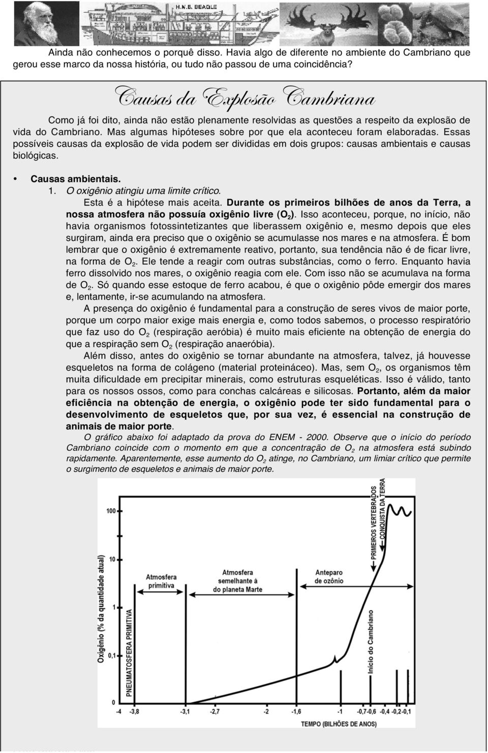 Mas algumas hipóteses sobre por que ela aconteceu foram elaboradas. Essas possíveis causas da explosão de vida podem ser divididas em dois grupos: causas ambientais e causas biológicas.