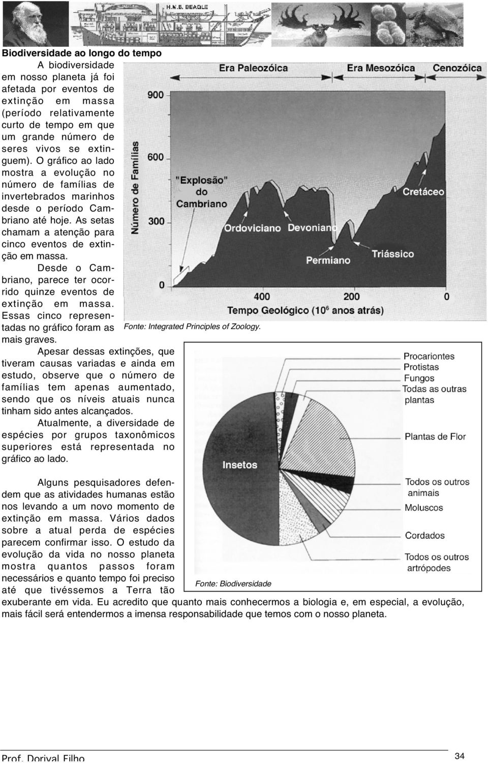 Desde o Cambriano, parece ter ocorrido quinze eventos de extinção em massa. Essas cinco representadas no gráfico foram as Fonte: Integrated Principles of Zoology. mais graves.