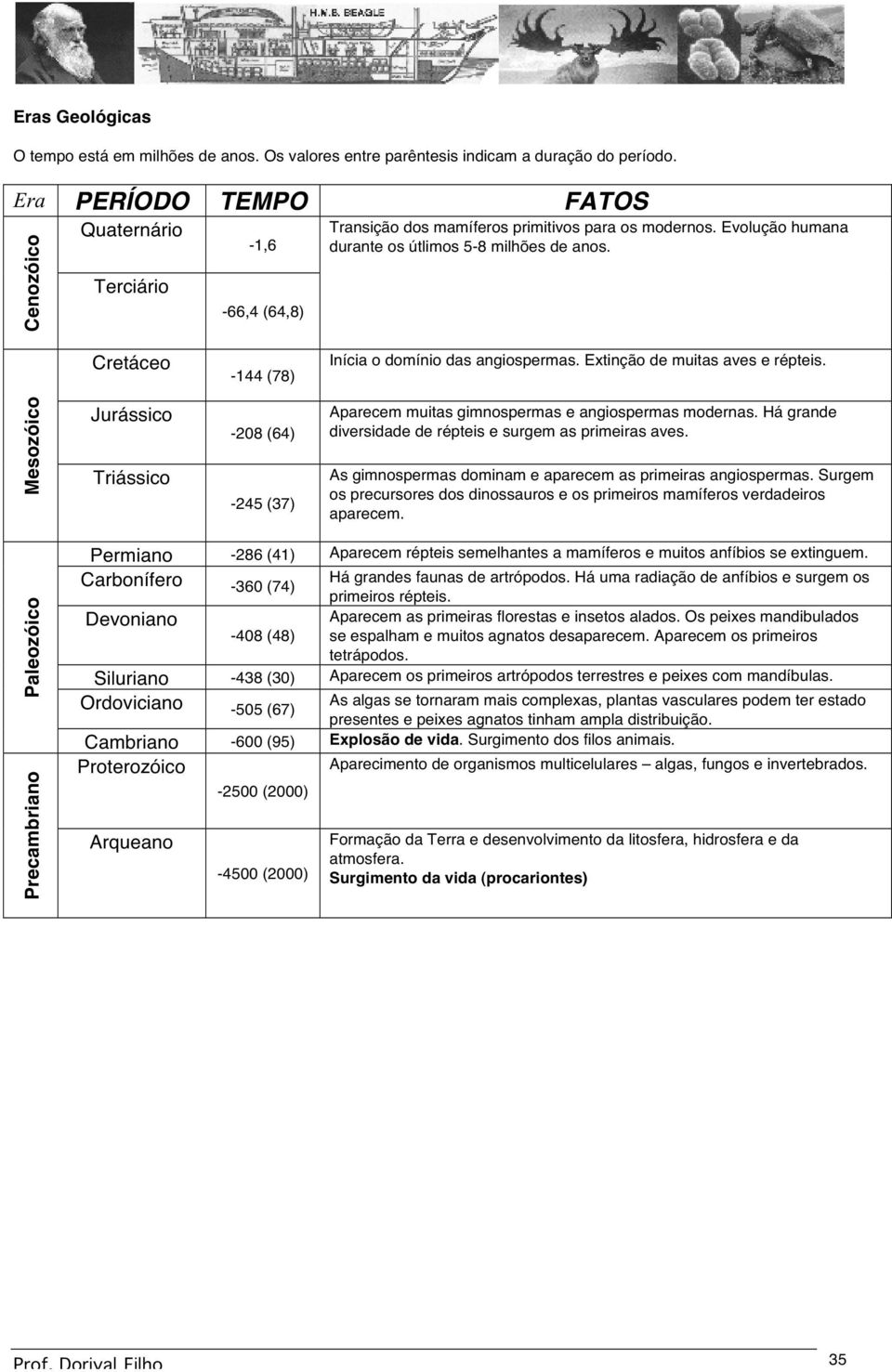 Cretáceo -144 (78) Inícia o domínio das angiospermas. Extinção de muitas aves e répteis. Mesozóico Jurássico Triássico -208 (64) -245 (37) Aparecem muitas gimnospermas e angiospermas modernas.