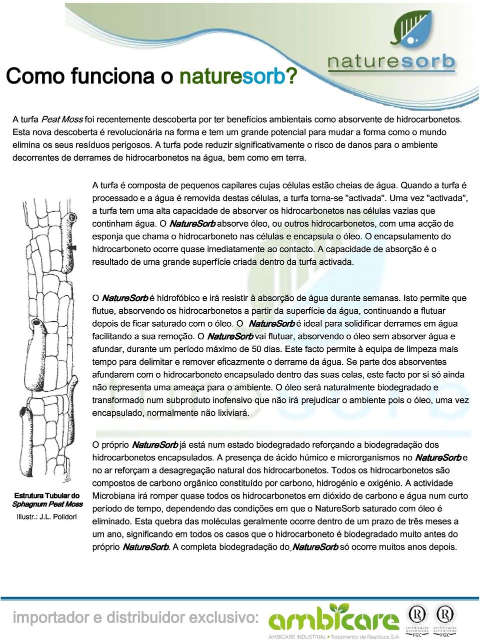 o para risco como mudar de absorvente danos a forma para de como o hidrocarbonetos.