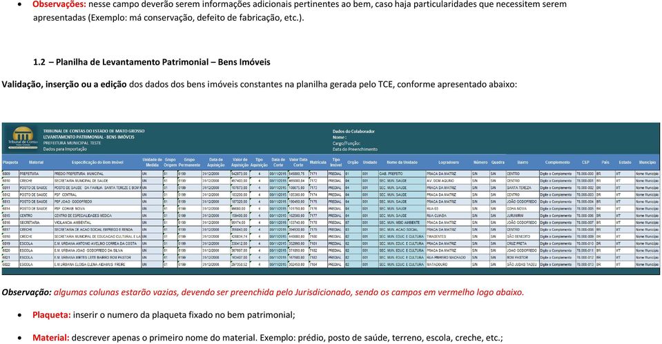 2 Planilha de Levantamento Patrimonial Bens Imóveis Validação, inserção ou a edição dos dados dos bens imóveis constantes na planilha gerada pelo TCE, conforme apresentado