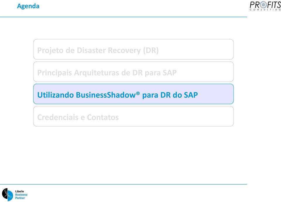 para SAP Utilizando BusinessShadow