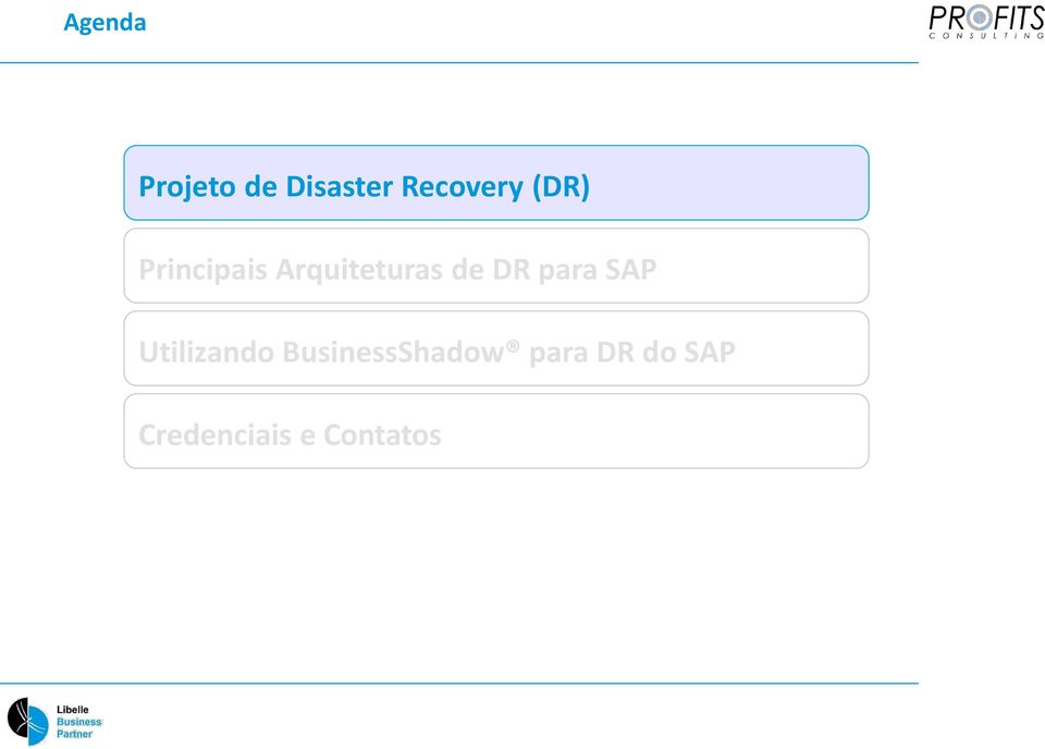 para SAP Utilizando BusinessShadow