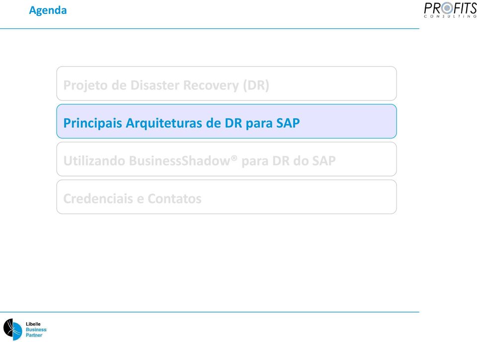 para SAP Utilizando BusinessShadow