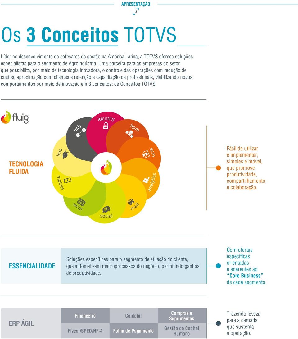 profissionais, viabilizando novos comportamentos por meio de inovação em 3 conceitos: os Conceitos TOTVS.