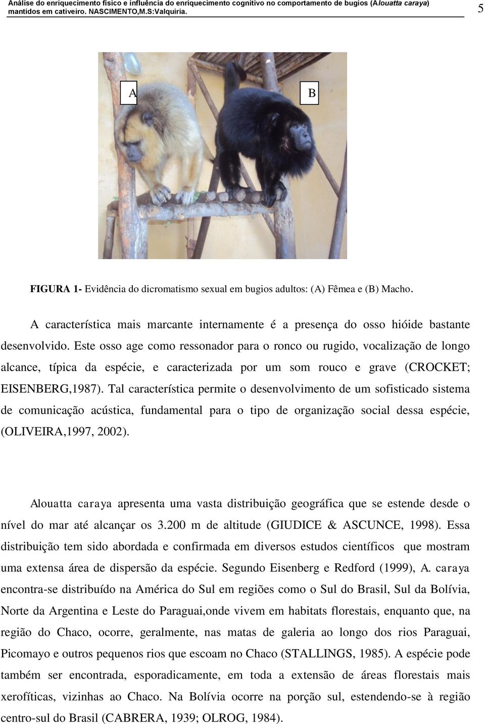 Tal característica permite o desenvolvimento de um sofisticado sistema de comunicação acústica, fundamental para o tipo de organização social dessa espécie, (OLIVEIRA,1997, 2002).