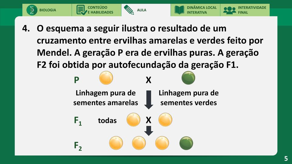 A geração P era de ervilhas puras.