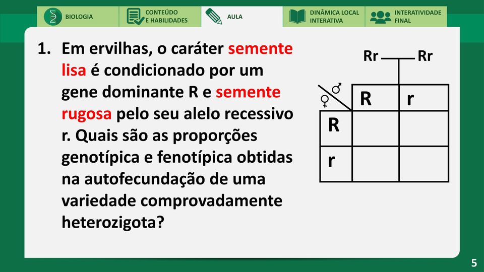 recessivo R r.