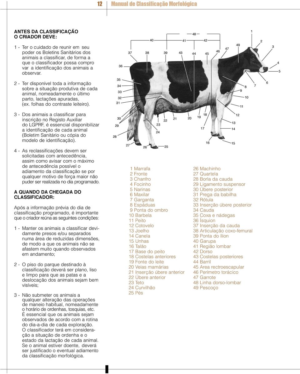 7 8 0 1 8 9 7 9 1 - Ter disponível toda a informação sobre a situação produtiva de cada animal, nomeadamente o último parto, lactações apuradas, (ex. folhas do contraste leiteiro).