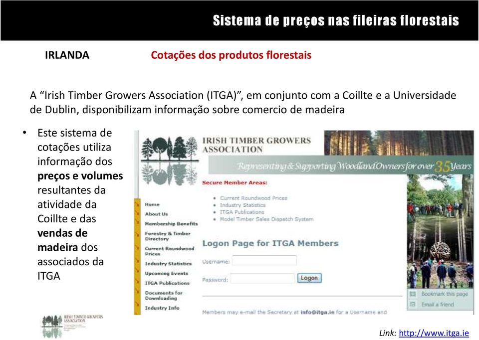 comercio de madeira Este sistema de cotações utiliza informação dos preços e volumes