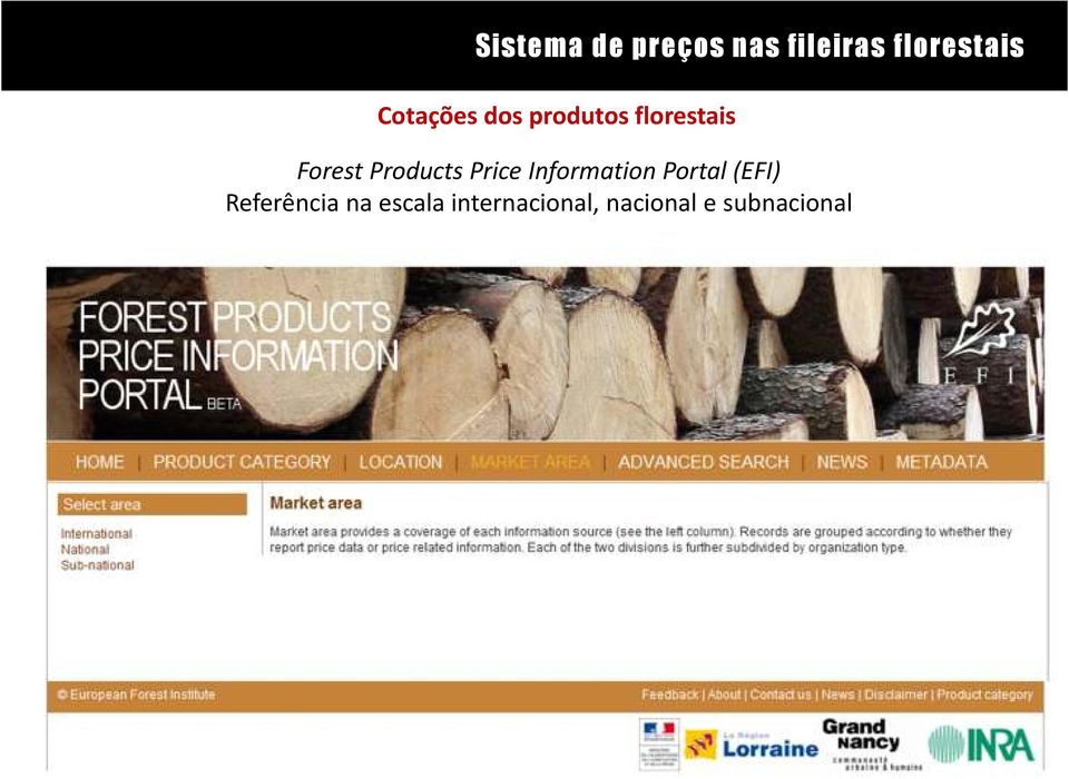 InformationPortal (EFI) Referência