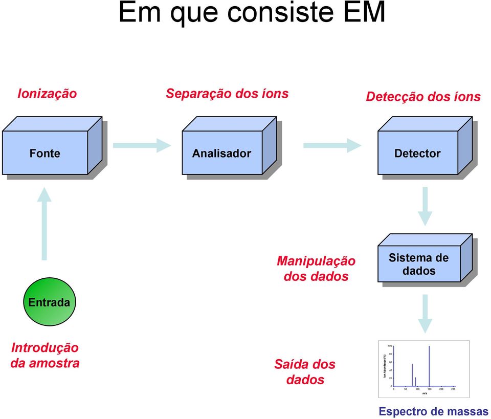 Sistema de dados Introdução da amostra Saída dos dados Ion