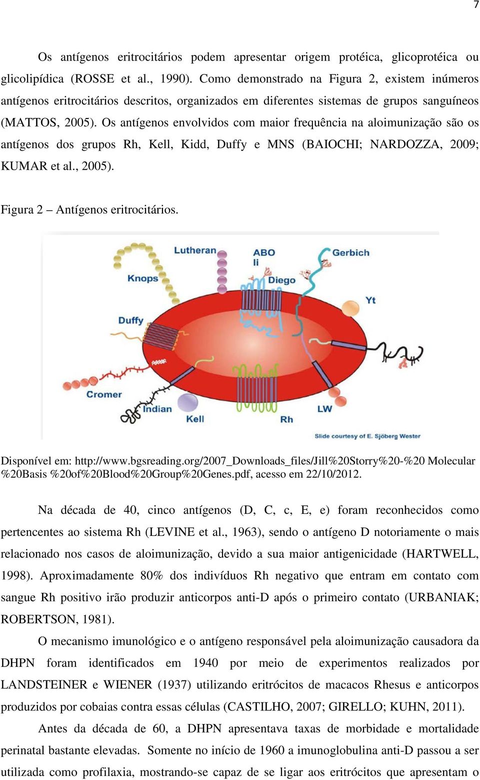 Os antígenos envolvidos com maior frequência na aloimunização são os antígenos dos grupos Rh, Kell, Kidd, Duffy e MNS (BAIOCHI; NARDOZZA, 2009; KUMAR et al., 2005). Figura 2 Antígenos eritrocitários.