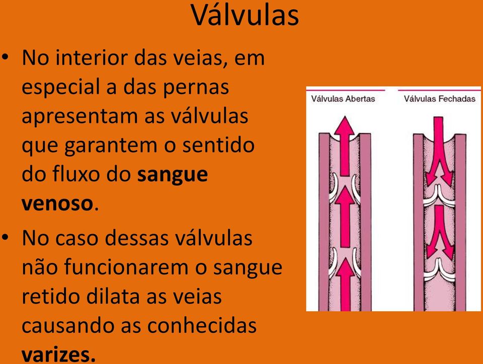 sangue venoso.