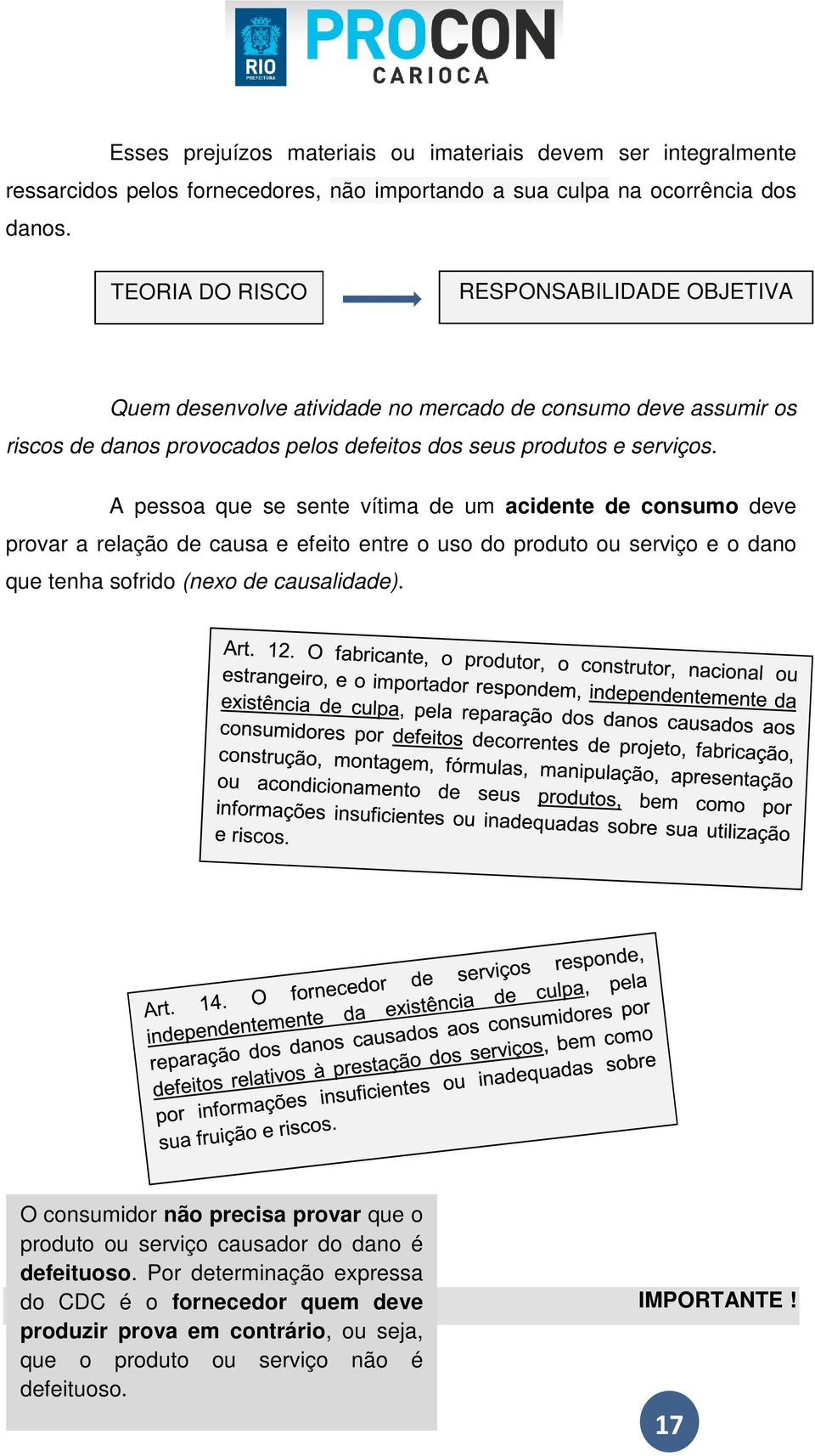 A pessoa que se sente vítima de um acidente de consumo deve provar a relação de causa e efeito entre o uso do produto ou serviço e o dano que tenha sofrido (nexo de causalidade).