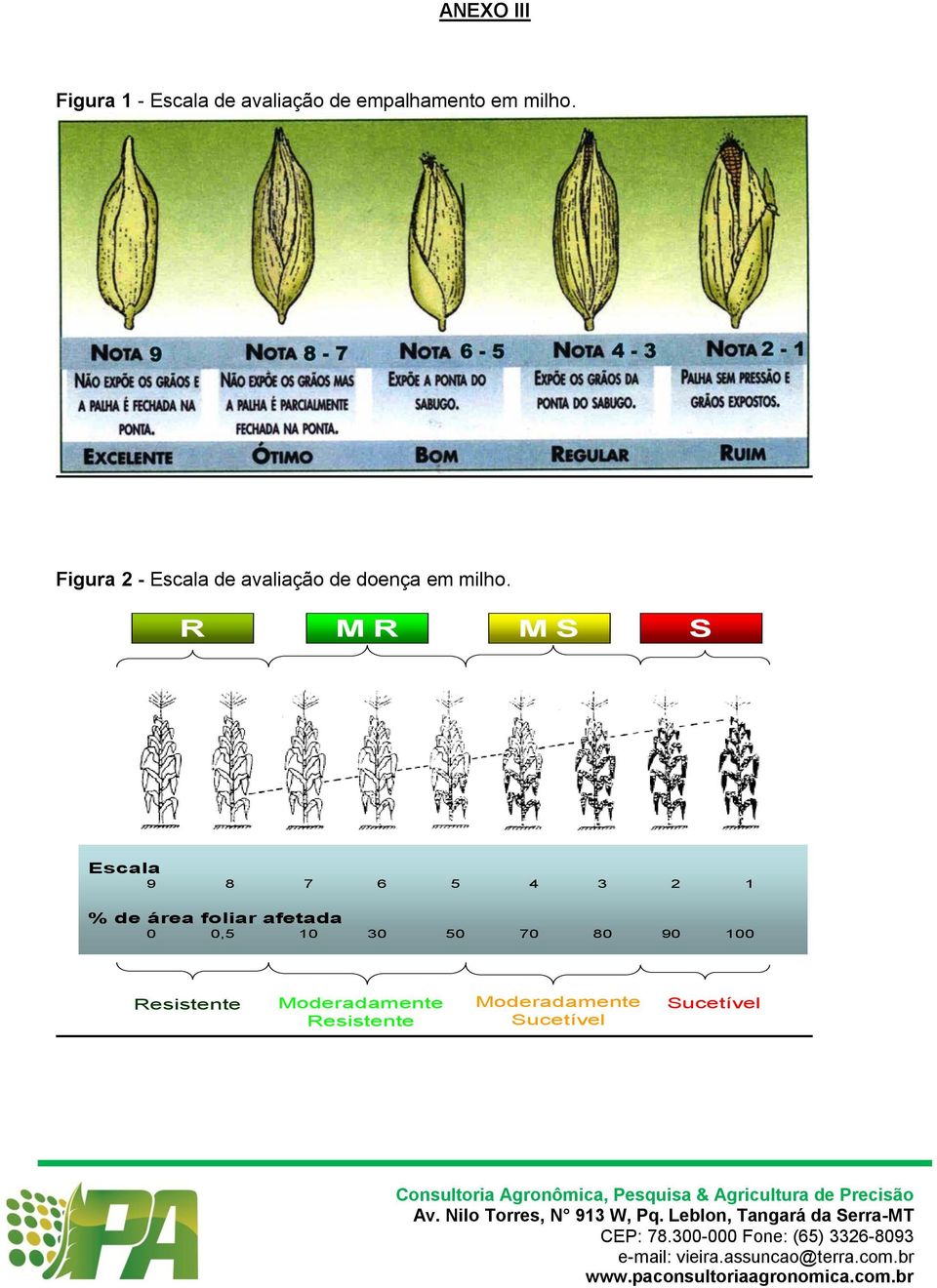 R MR MS S Escala 9 8 7 6 5 4 3 2 1 % de área foliar afetada 0 0,5 10