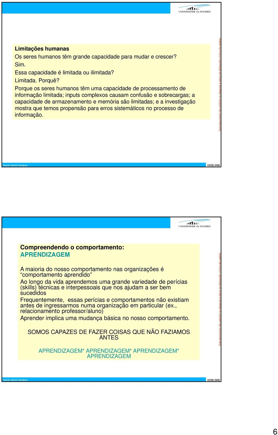 investigação mostra que temos propensão para erros sistemáticos no processo de informação.