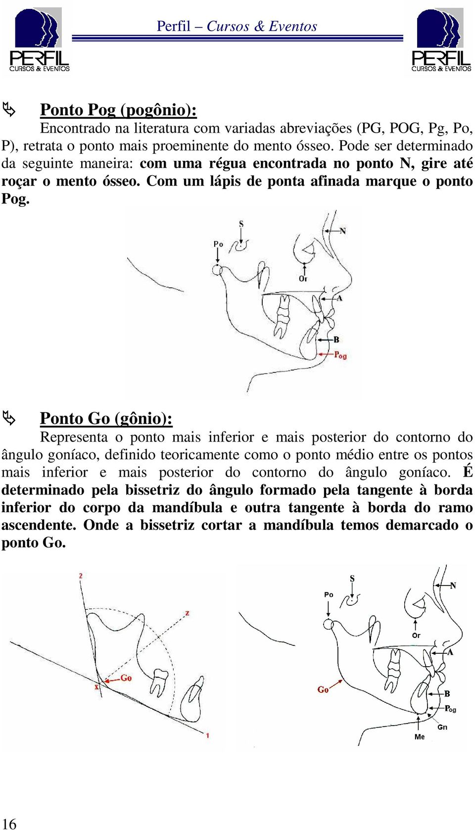 Ponto Go (gônio): Representa o ponto mais inferior e mais posterior do contorno do ângulo goníaco, definido teoricamente como o ponto médio entre os pontos mais inferior e mais