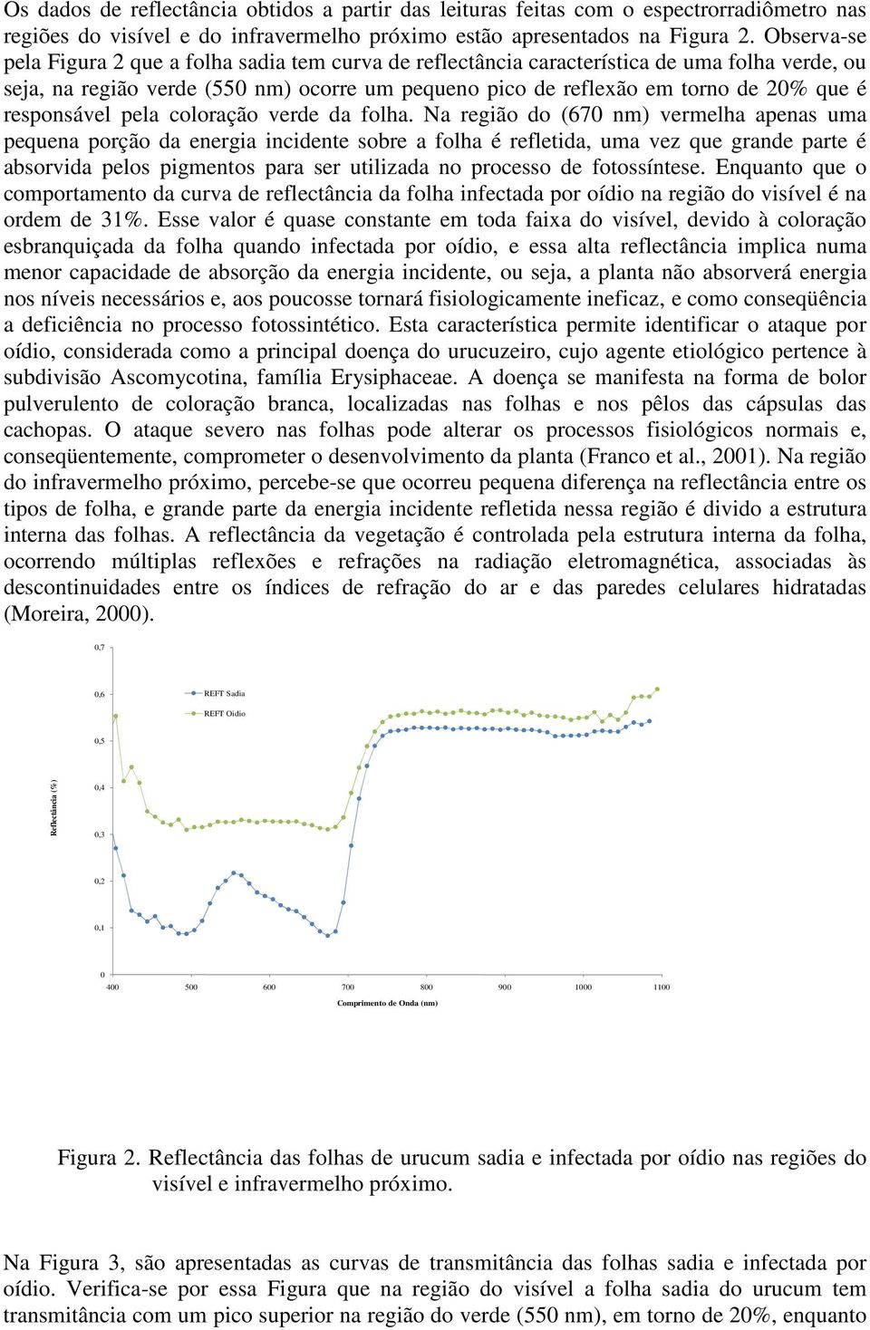 responsável pela coloração verde da folha.