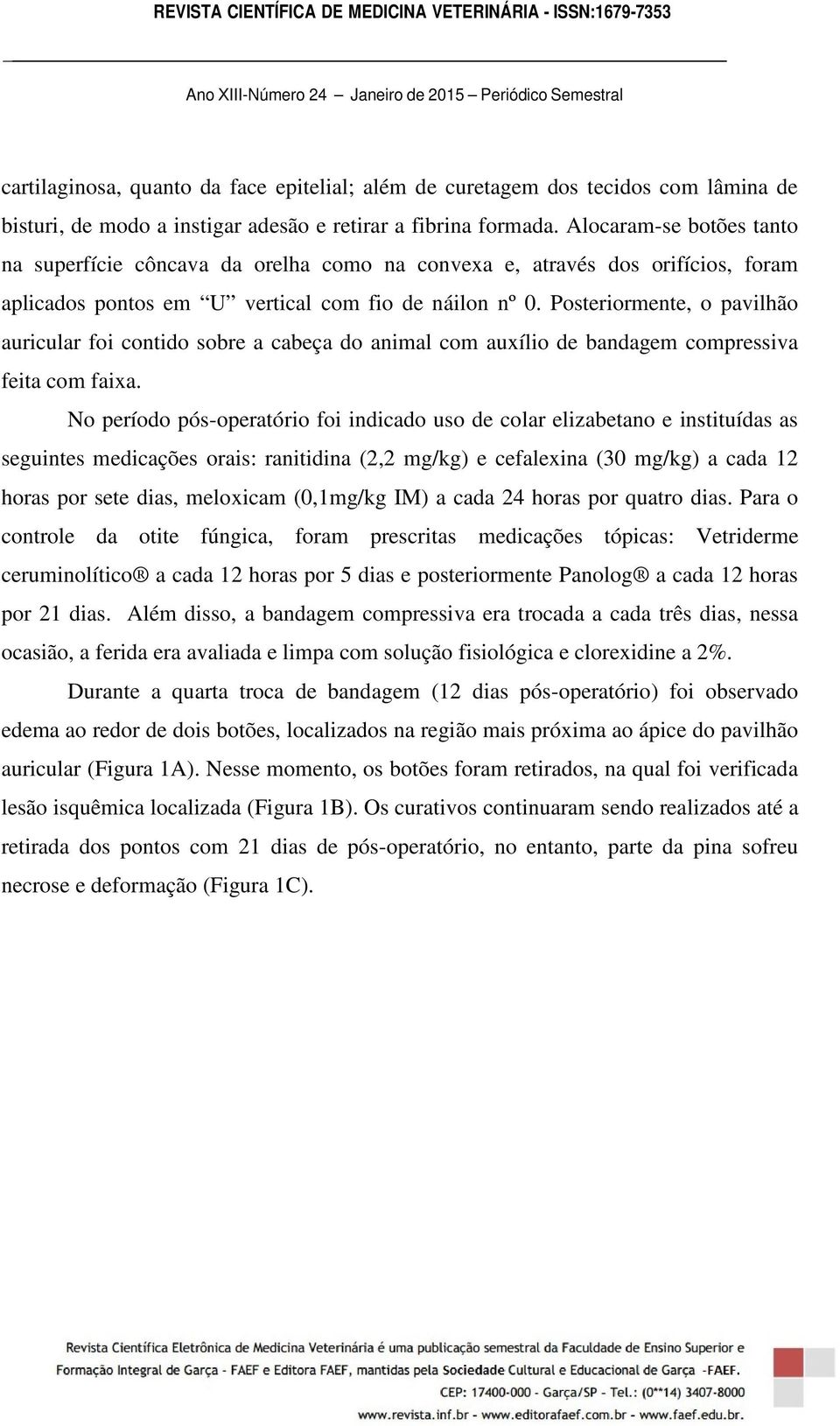 Posteriormente, o pavilhão auricular foi contido sobre a cabeça do animal com auxílio de bandagem compressiva feita com faixa.