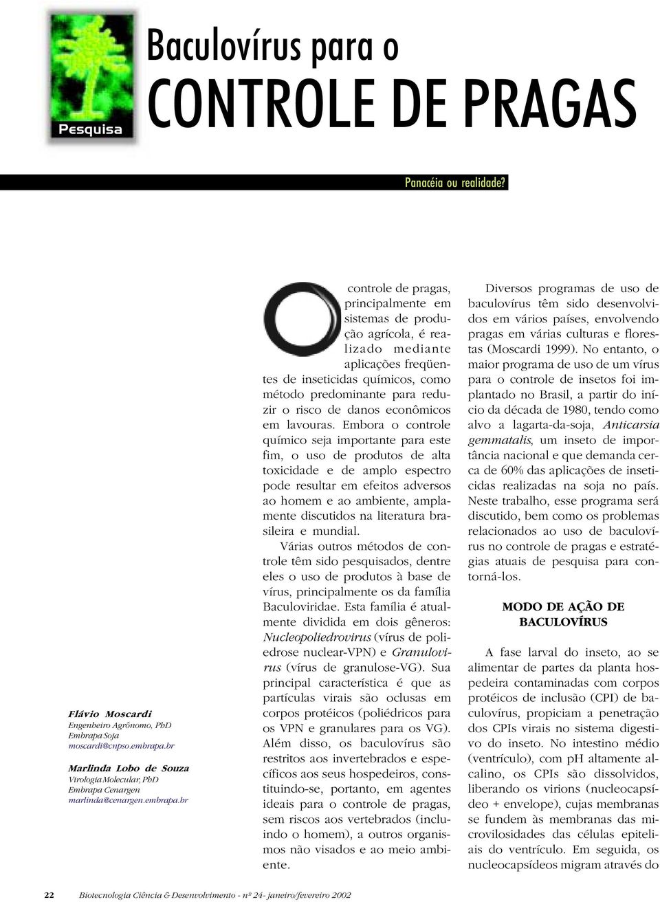 br controle de pragas, principalmente em sistemas de produção agrícola, é realizado mediante aplicações freqüentes de inseticidas químicos, como método predominante para reduzir o risco de danos