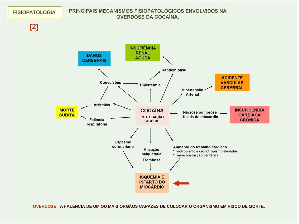 respiratória COCAÍNA INTOXICAÇÃO AGUDA Necrose ou fibrose focais do miocárdio INSUFICÊNCIA CARDÍACA CRÔNICA Espasmo coronariano Ativação palquetária