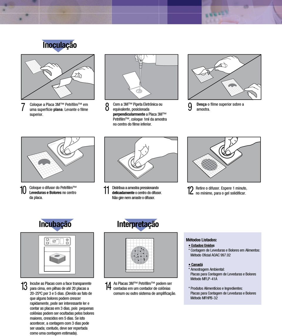 10 11 12 Coloque o difusor do Leveduras e Bolores no centro da placa. Distribua a amostra pressionando delicadamente o centro do difusor. Não gire nem arraste o difusor. Retire o difusor.