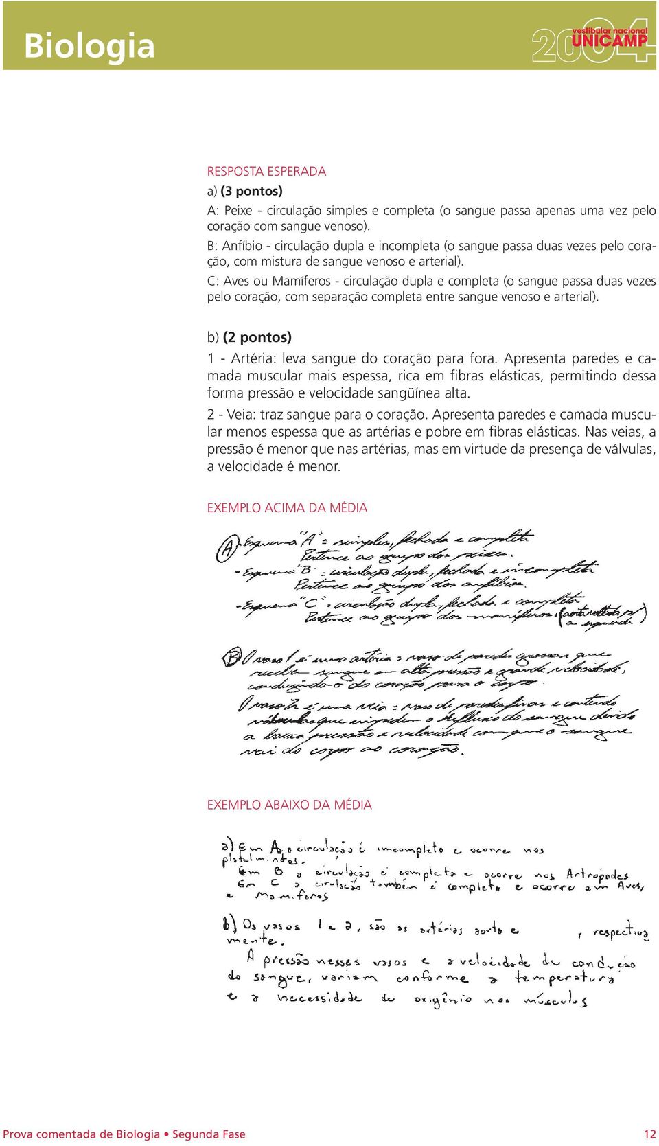 C: Aves ou Mamíferos - circulação dupla e completa (o sangue passa duas vezes pelo coração, com separação completa entre sangue venoso e arterial).