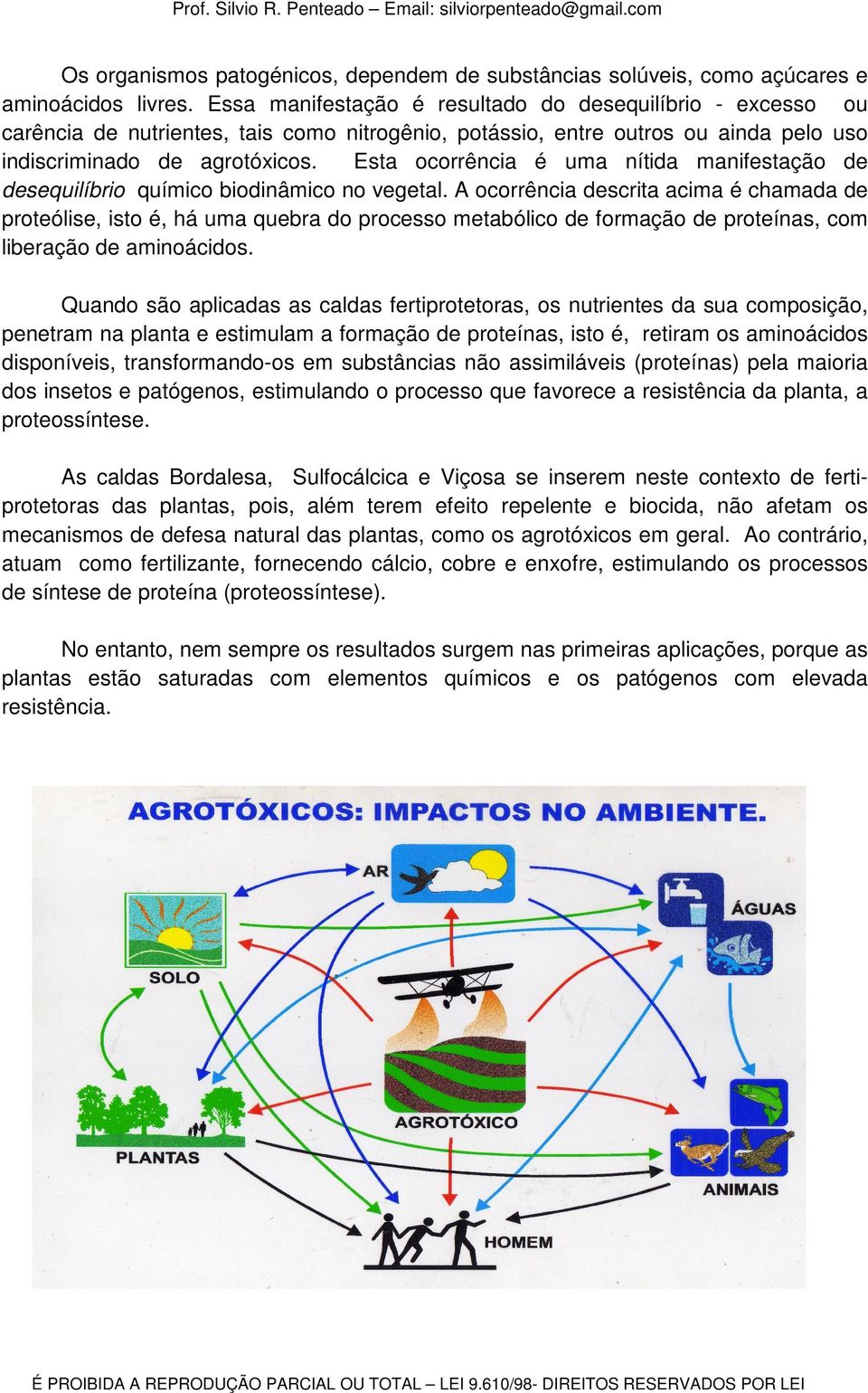 Esta ocorrência é uma nítida manifestação de desequilíbrio químico biodinâmico no vegetal.