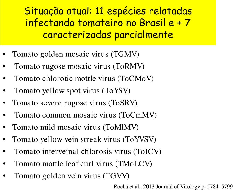 (ToSRV) Tomato common mosaic virus (ToCmMV) Tomato mild mosaic virus (ToMlMV) Tomato yellow vein streak virus (ToYVSV) Tomato interveinal