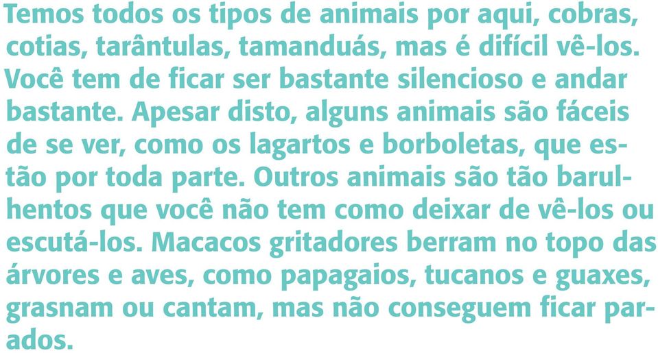 Apesar disto, alguns animais são fáceis de se ver, como os lagartos e borboletas, que estão por toda parte.