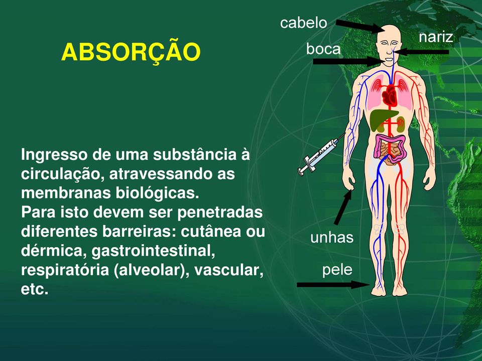 Para isto devem ser penetradas diferentes barreiras: cutânea