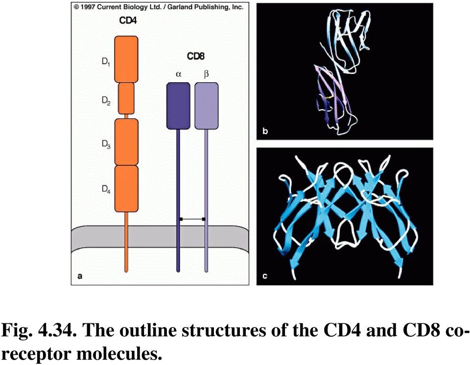 structures of the