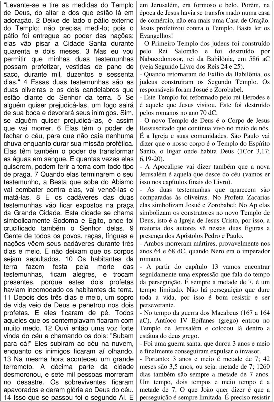 3 Mas eu vou permitir que minhas duas testemunhas possam profetizar, vestidas de pano de saco, durante mil, duzentos e sessenta dias.