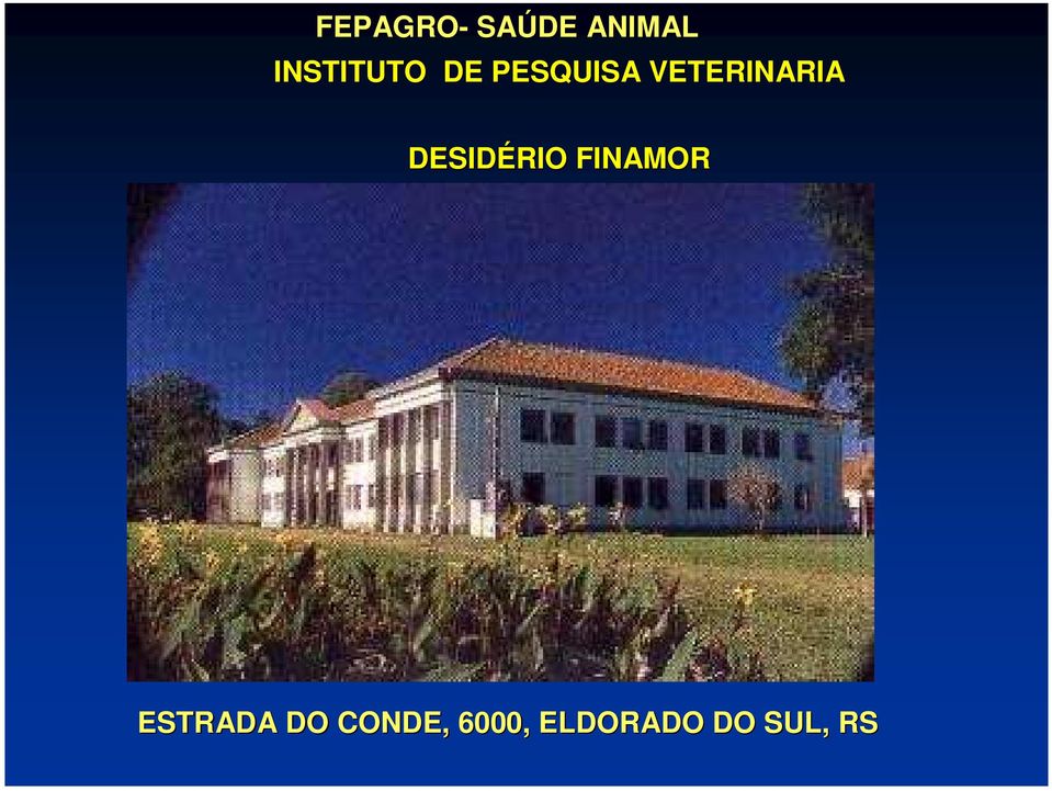 VETERINARIA DESIDÉRIO FINAMOR