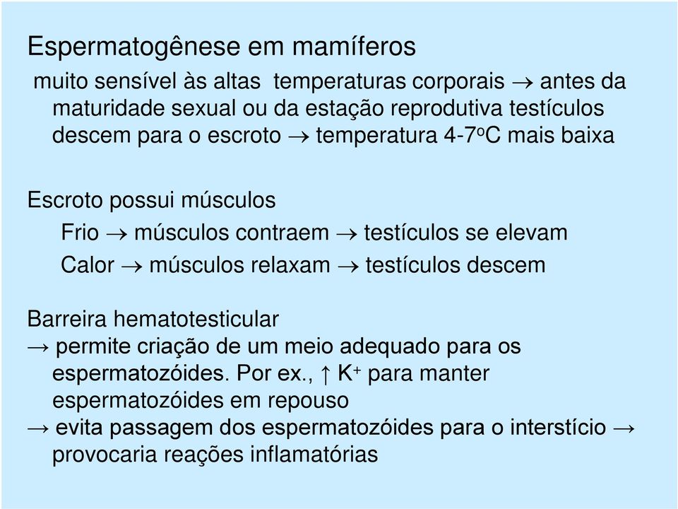 Calor músculos relaxam testículos descem Barreira hematotesticular permite criação de um meio adequado para os espermatozóides.