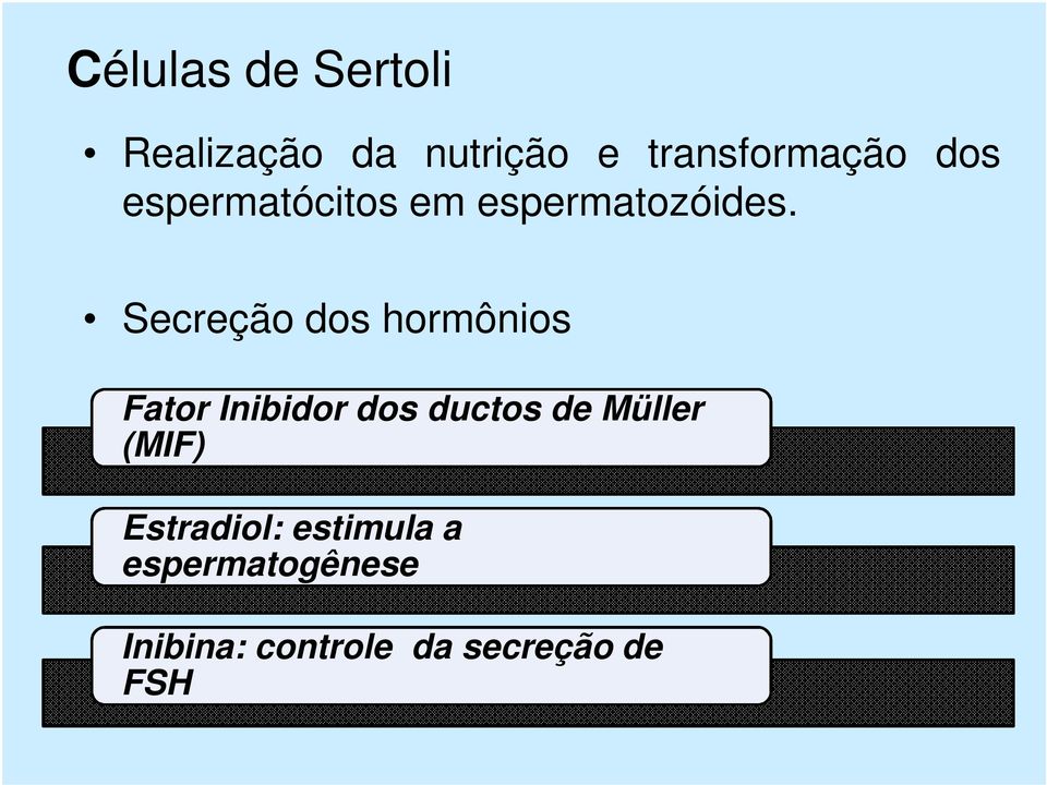 Secreção dos hormônios Fator Inibidor dos ductos de Müller