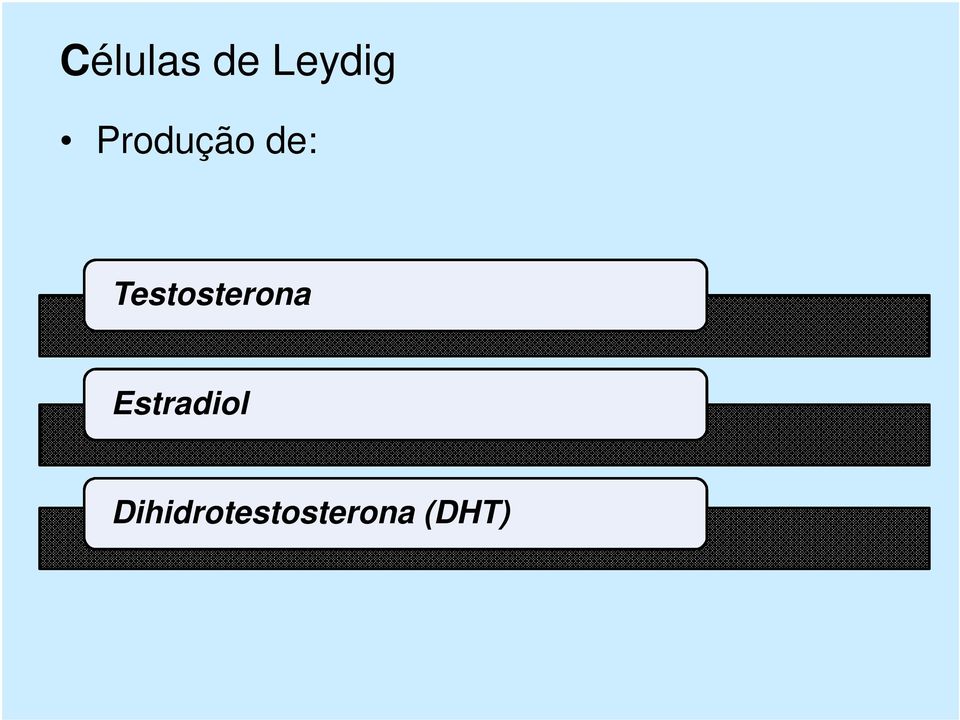 Testosterona