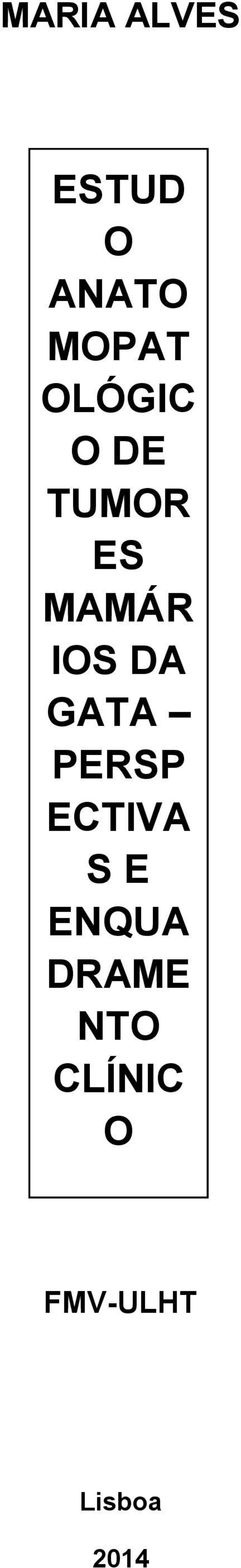 GATA PERSP ECTIVA S E ENQUA DRAME