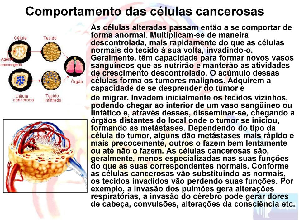 Geralmente, têm capacidade para formar novos vasos sanguíneos que as nutrirão e manterão as atividades de crescimento descontrolado. O acúmulo dessas células forma os tumores malignos.