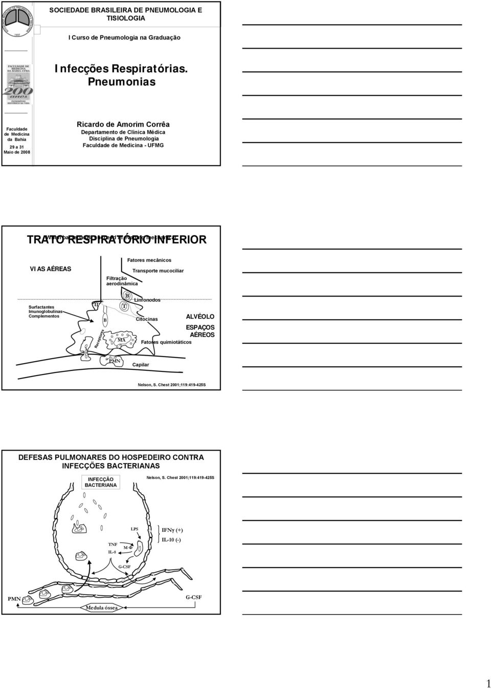 in evading mechanical TRATO RESPIRATÓRIO INFERIOR VIAS AÉREAS Fatores mecânicos Transporte mucociliar Filtração aerodinâmica Surfactantes Imunoglobulinas Complementos II Receptores B B T MA