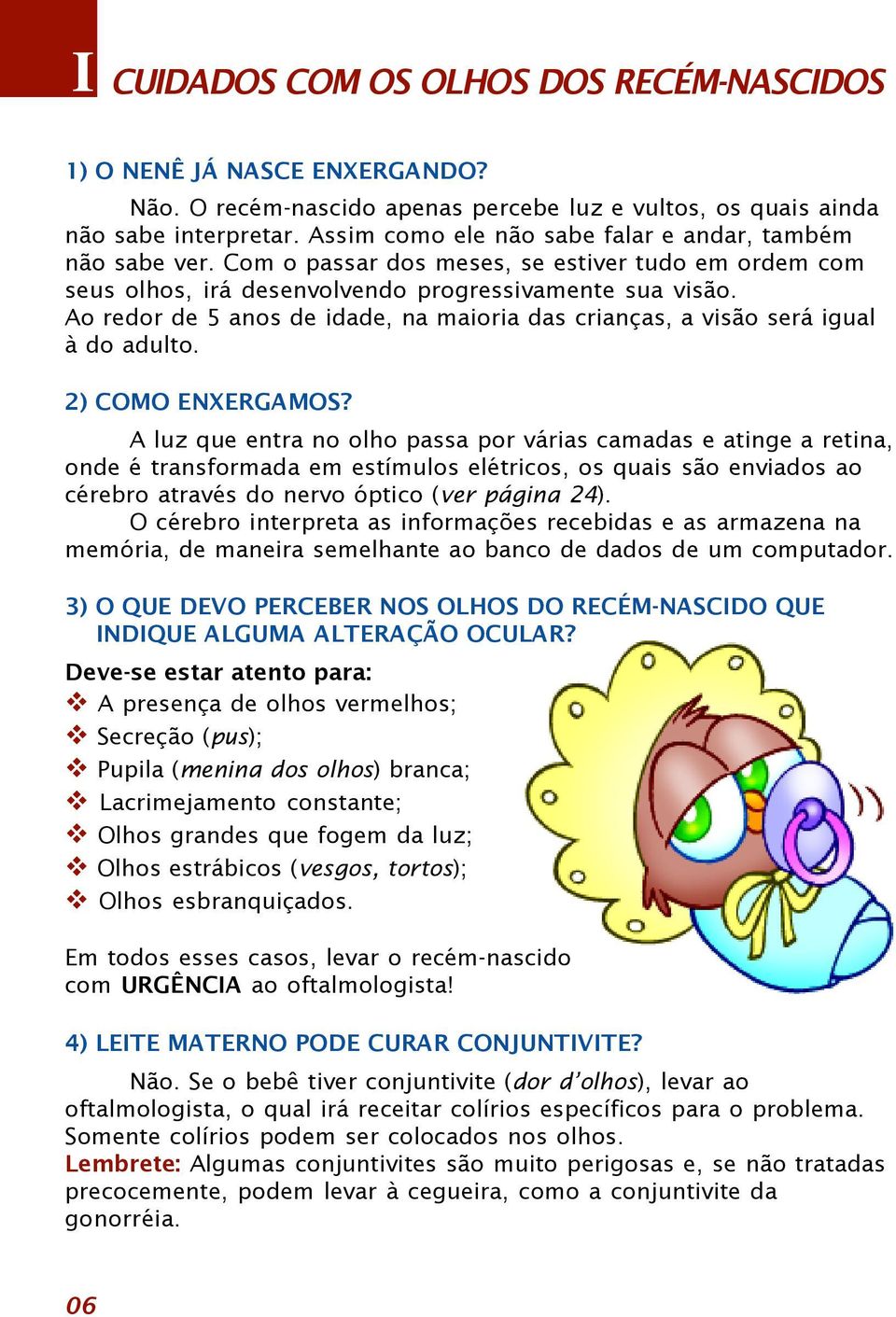 Ao redor de 5 anos de idade, na maioria das crianças, a visão será igual à do adulto. 2) COMO ENXERGAMOS?