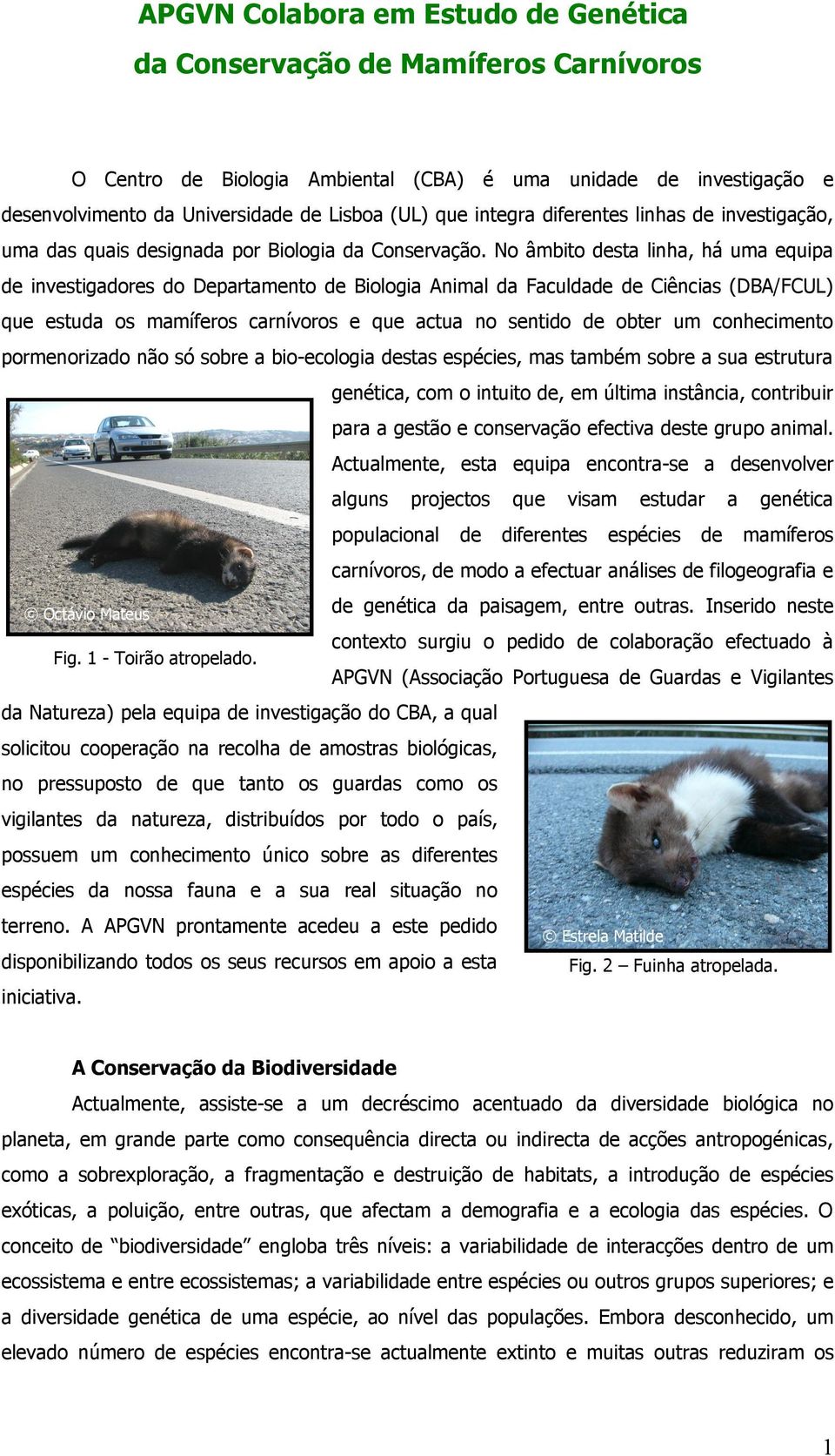 No âmbito sta linha, há uma equipa investigadores do Departamento Biologia Animal da Faculda Ciências (DBA/FCUL) que estuda os mamíferos carnívoros e que actua no sentido obter um conhecimento